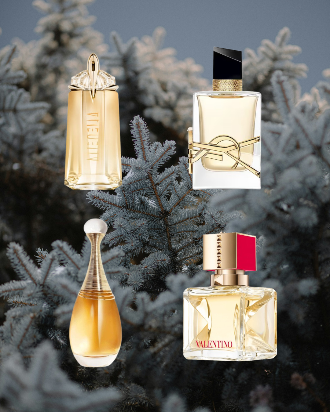 Gilded Dreams - Vésaura