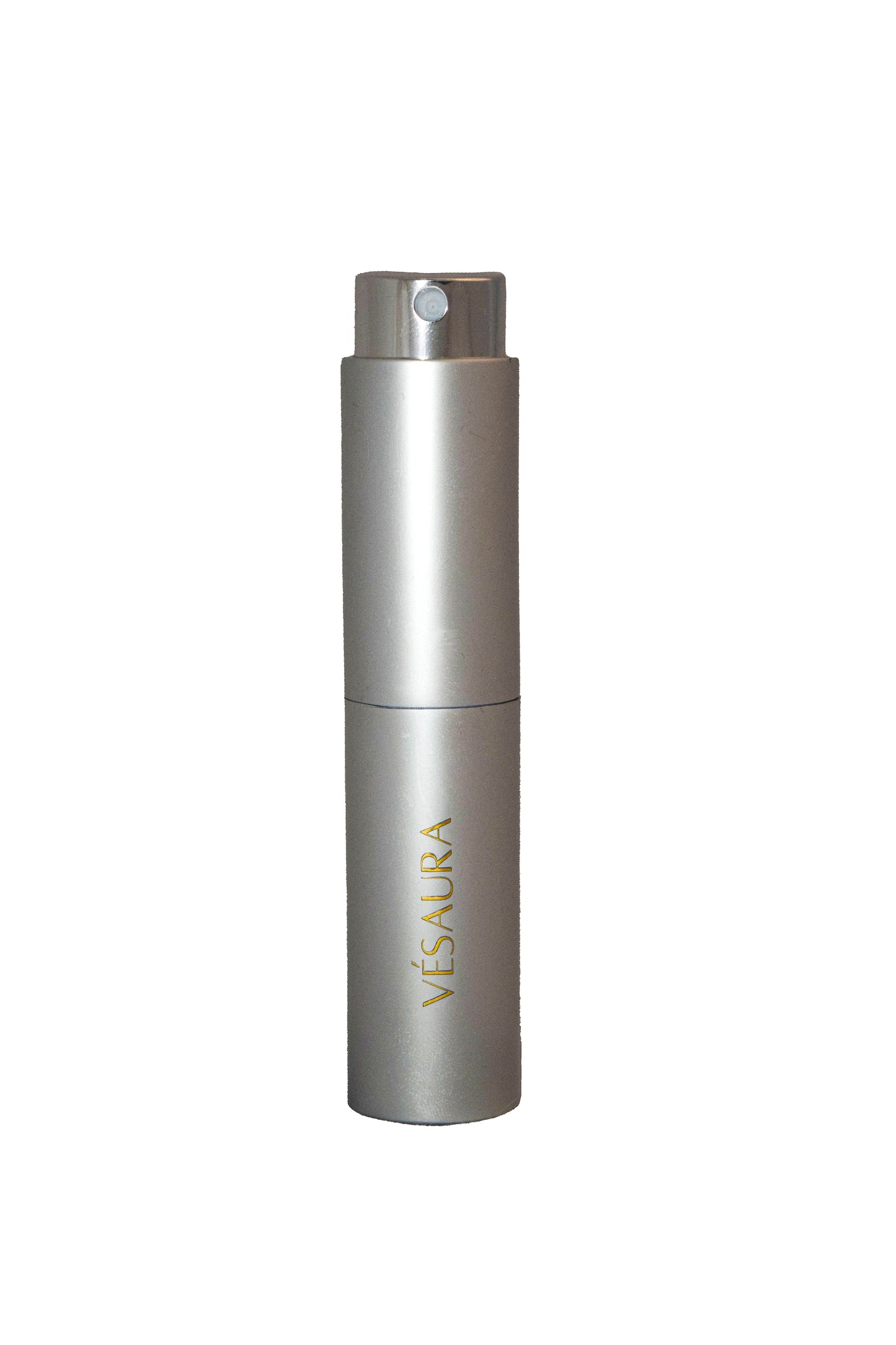 Grey and silver Vesaura case