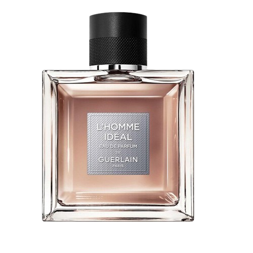 L'Homme Idéal - Vésaura