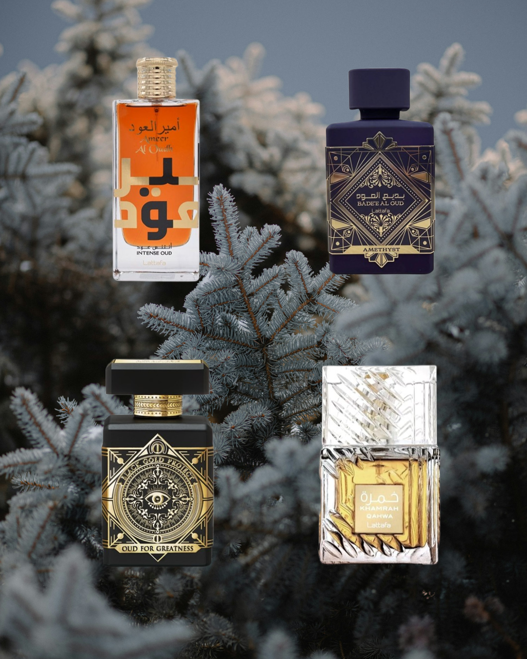 Arabian Majesty - Vésaura