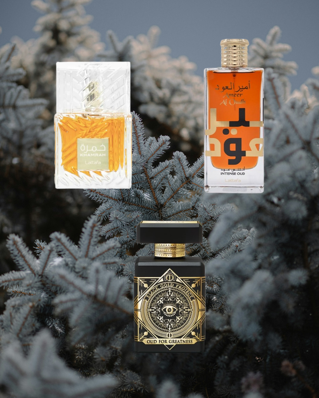 Arabian Winter - Vésaura