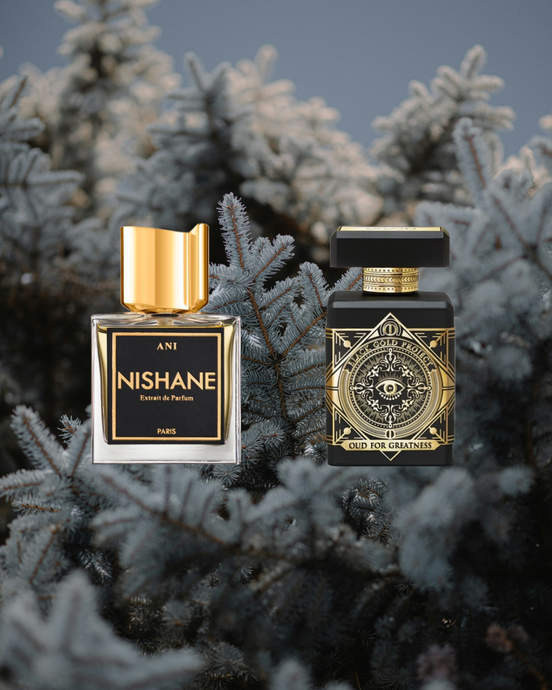 Dark Desire Duo - Vésaura