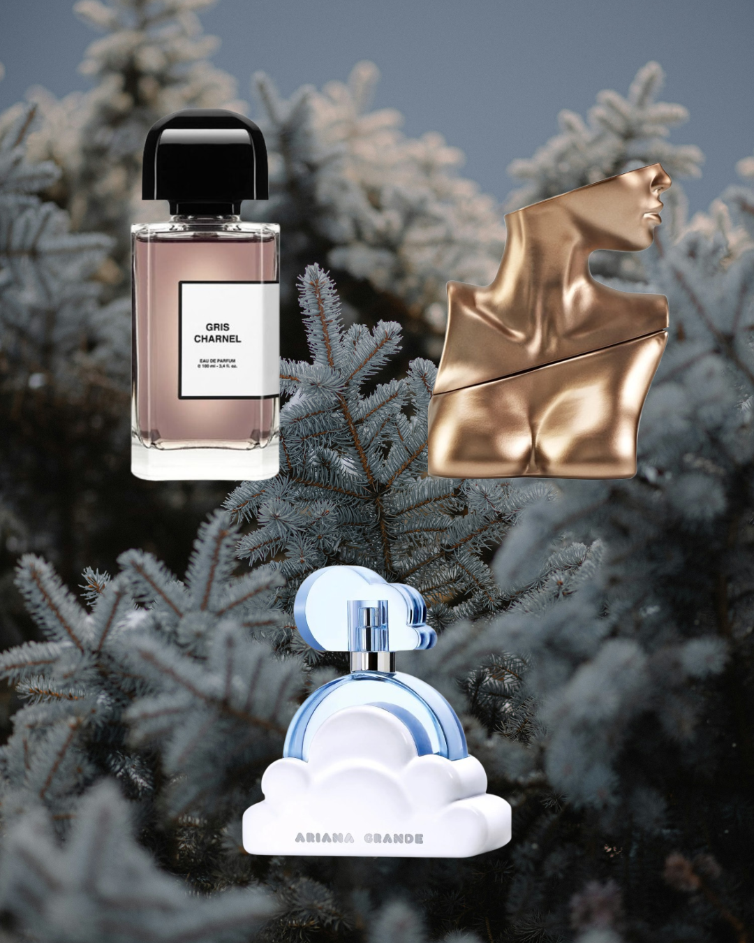 Fireside Dreams - Vésaura