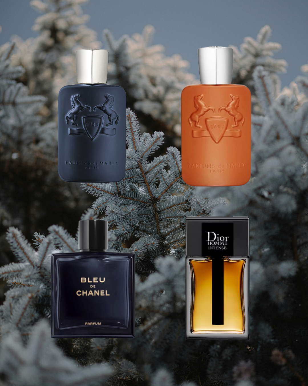 Royal Nights - Vésaura