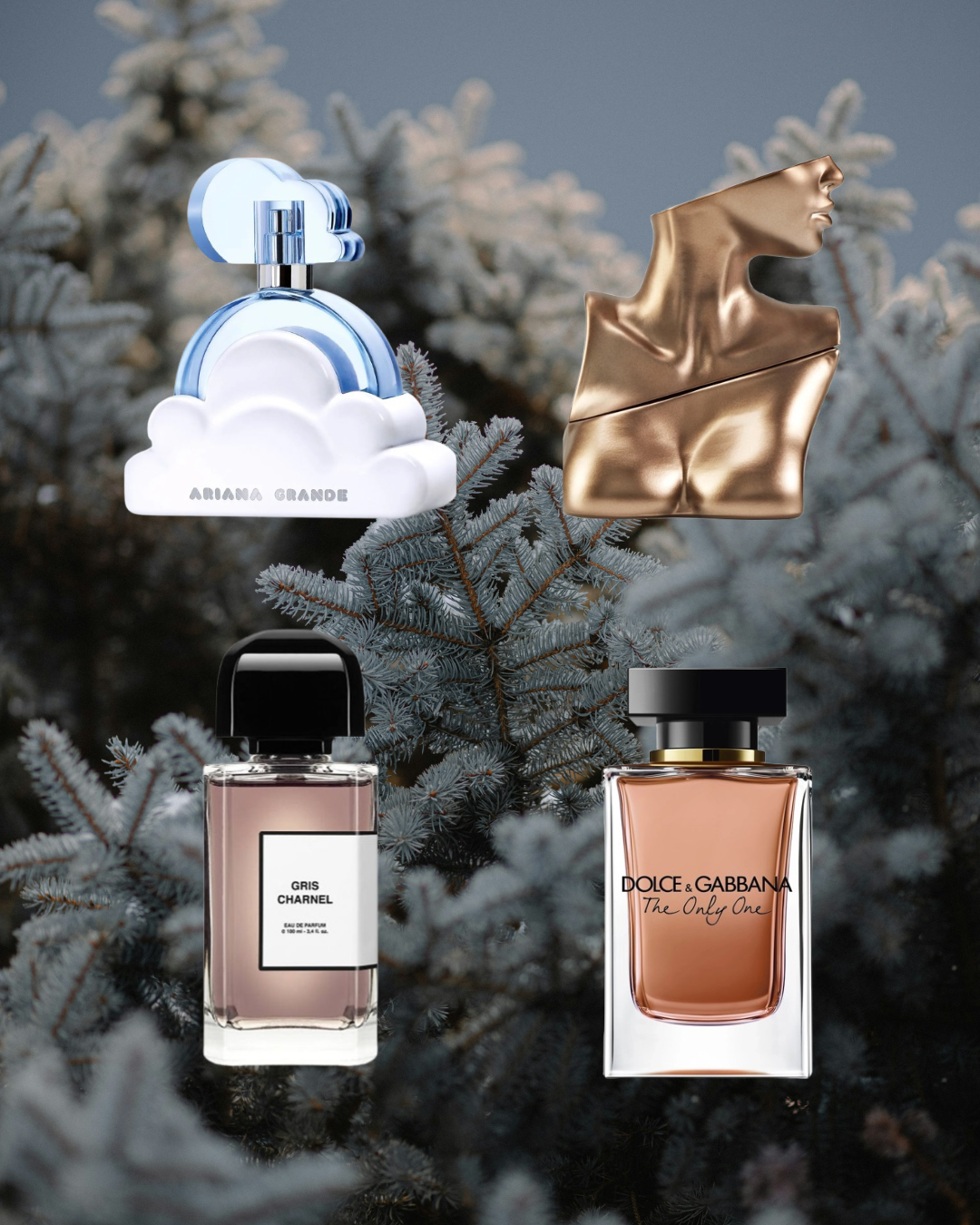 Snowed In - Vésaura