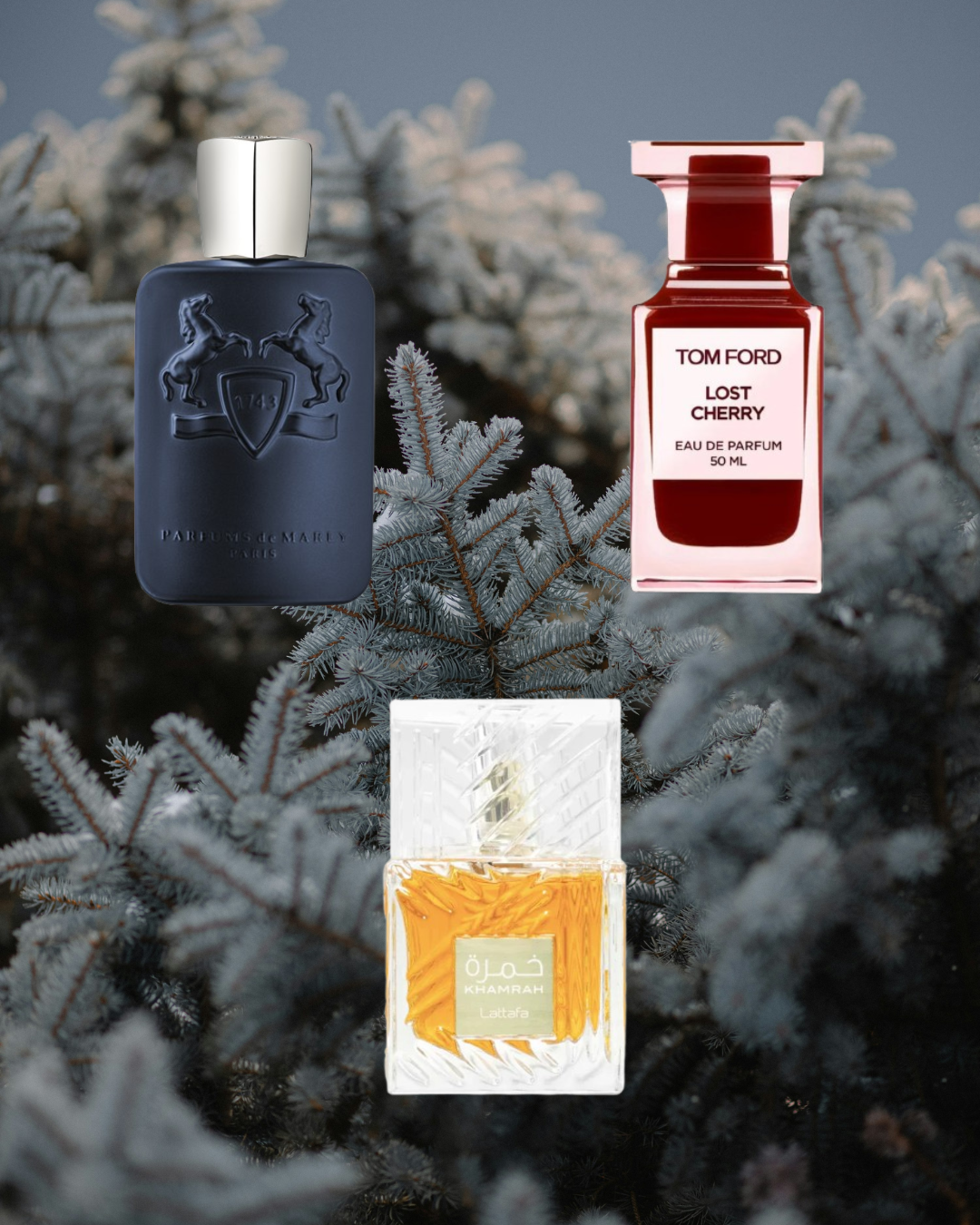 The Warm Embrace - Vésaura