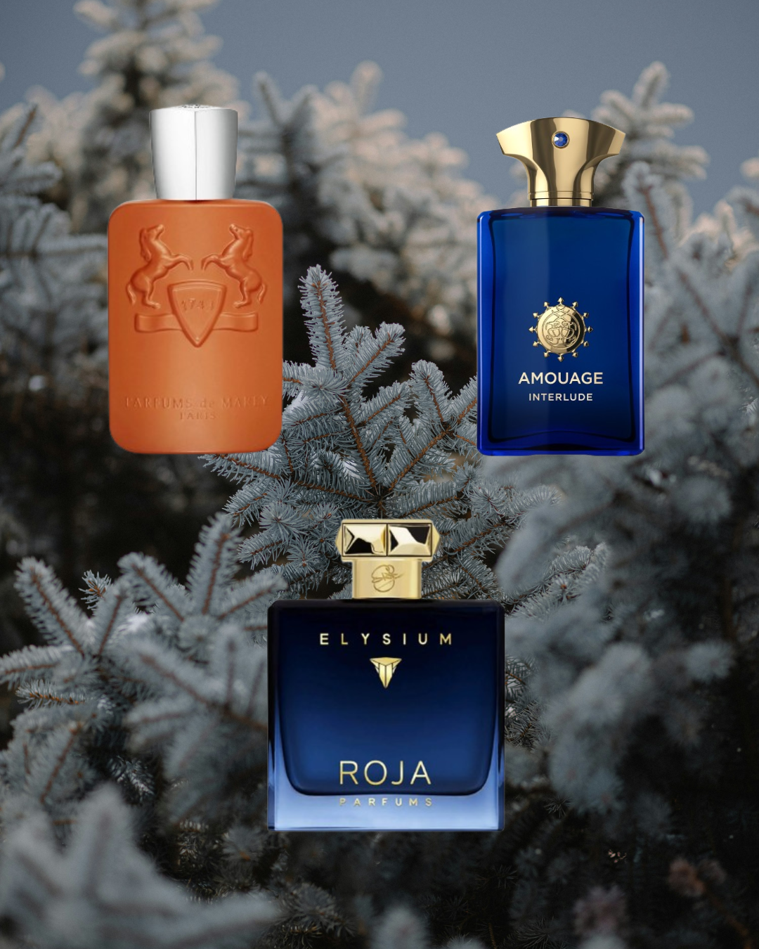 Winter Royale - Vésaura